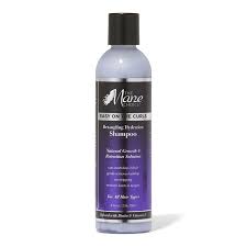 THE MANE CHOICE DETANGLING HYDRATION SHAMPOO 8OZ